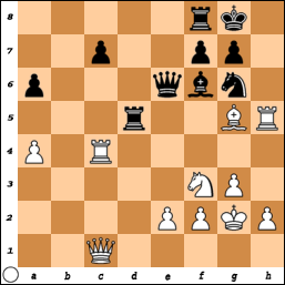 http://www.chessvideos.tv/bimg/21yi8cu3gef40.png
