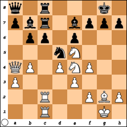 http://www.chessvideos.tv/bimg/34eetyz71o844.png
