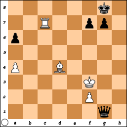 http://www.chessvideos.tv/bimg/3780kmyzlps0o.png