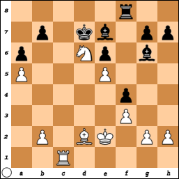 http://www.chessvideos.tv/bimg/5f8lg4lzzv48.png
