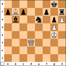http://www.chessvideos.tv/bimg/6scyxu8vvm8s.png